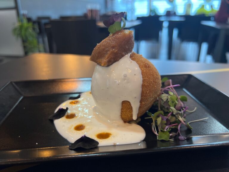 Tapa Porca 2026