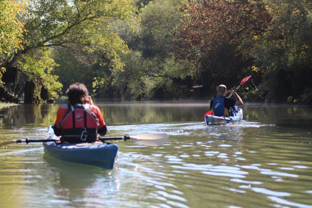 Rutes en piragua a Móra d'Ebre
