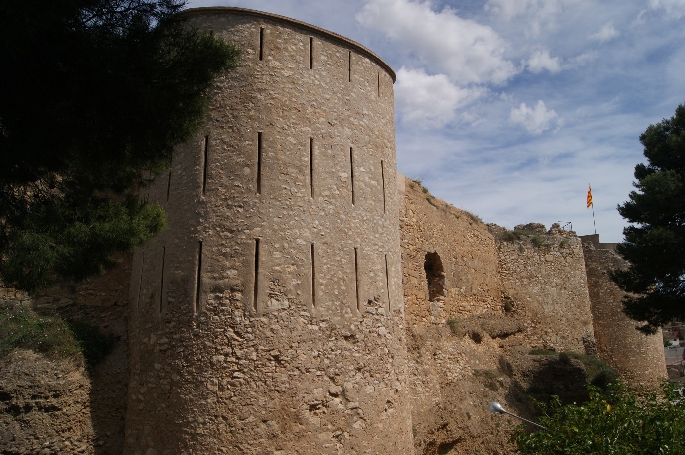 Paisatge des del castell de Móra d'Ebre